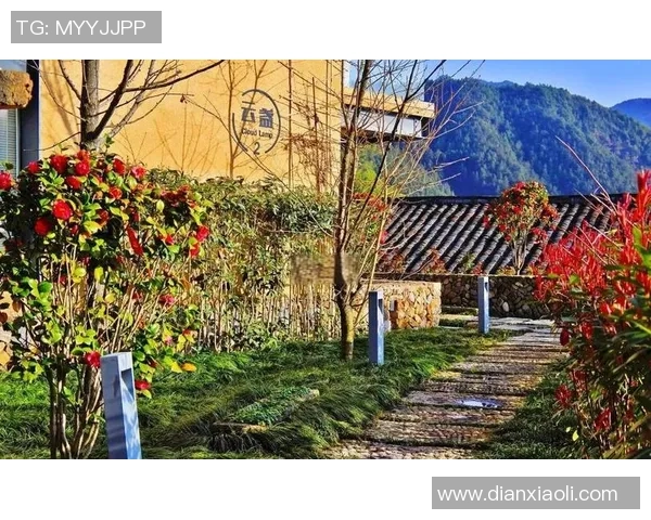 1200人齐聚松阳!在“古典我国”的诗意长廊里,赴一场“定向”之约 1200人齐聚松阳!在“古典我国”的诗意长廊里,赴一场“定向”之约